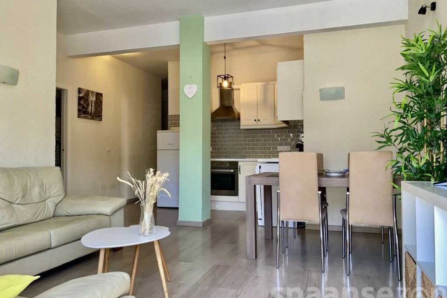 Apartment Monica has a light living room with dinning table and open kitchen.