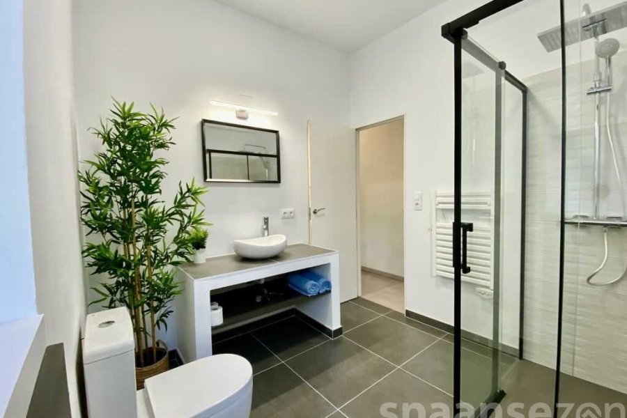 Apartment Monica with a modern bathroom including a rain shower