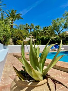 This villa in Benissa has a spacious garden with its own swimming pool.